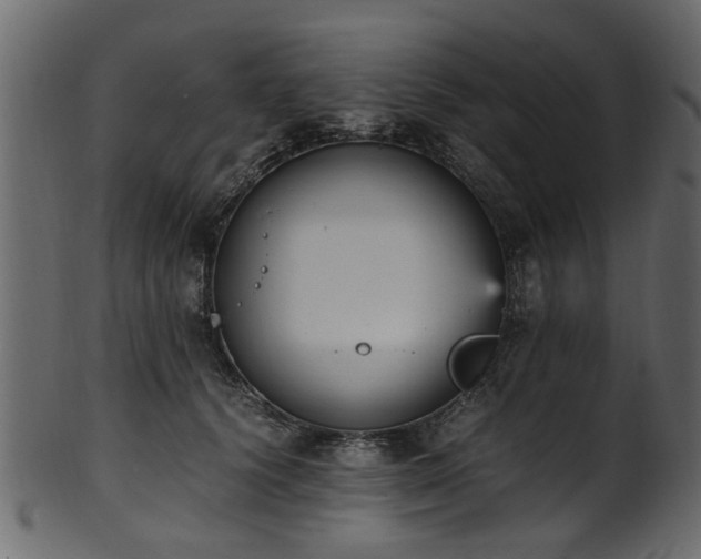 X0000102030656200807181351