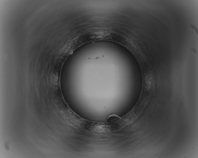 X0000102030657200807181351