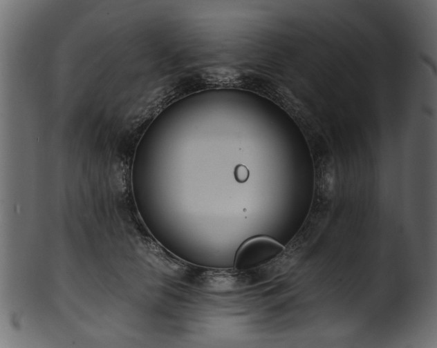 X0000102030658200807181351