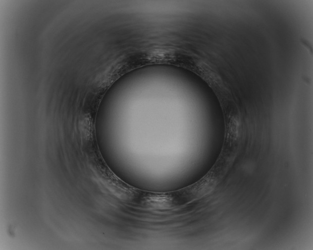 X0000102030659200807181351