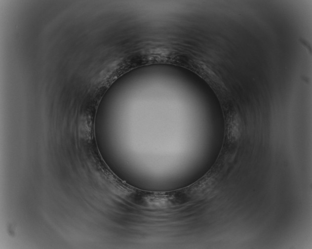 X0000102030661200807181351