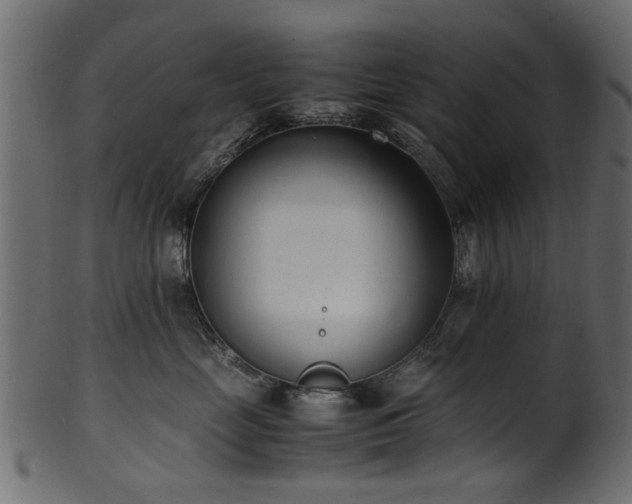 X0000102030669200807181351