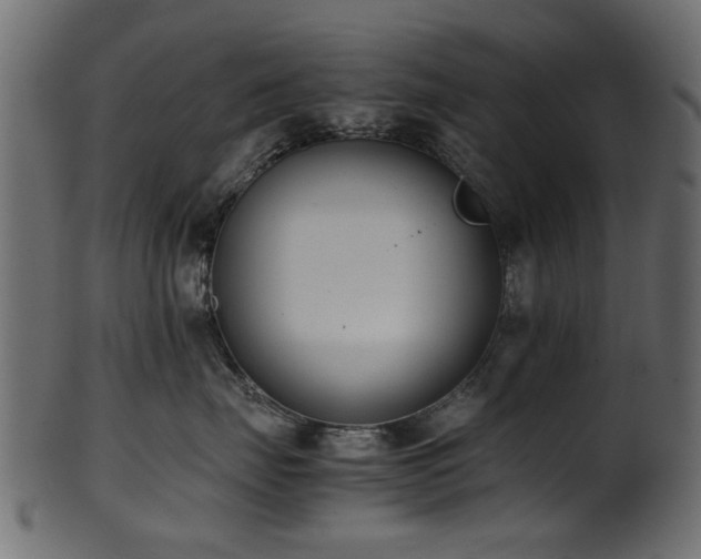 X0000102030671200807181351