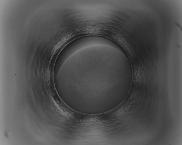 X0000102030674200807181351