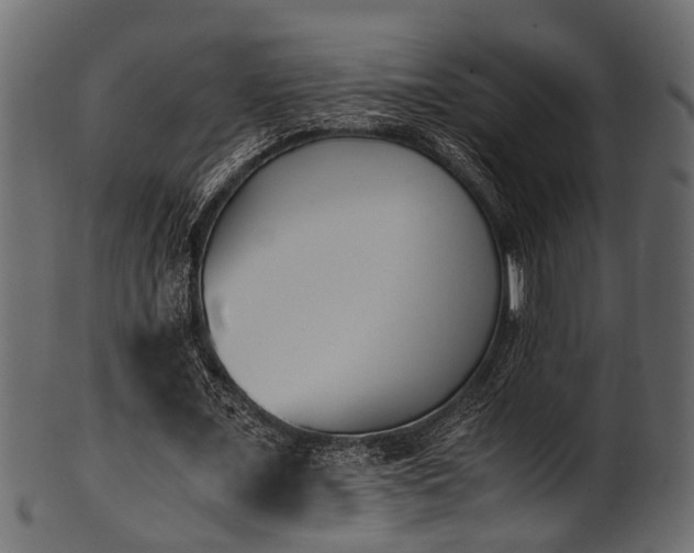 X0000102030675200807181350