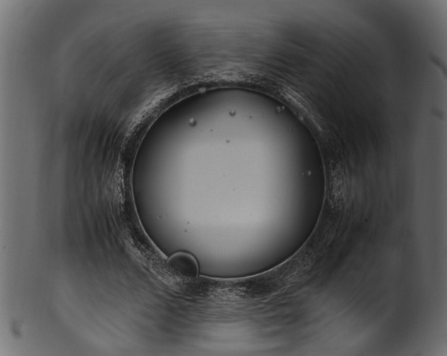 X0000102030680200807181350