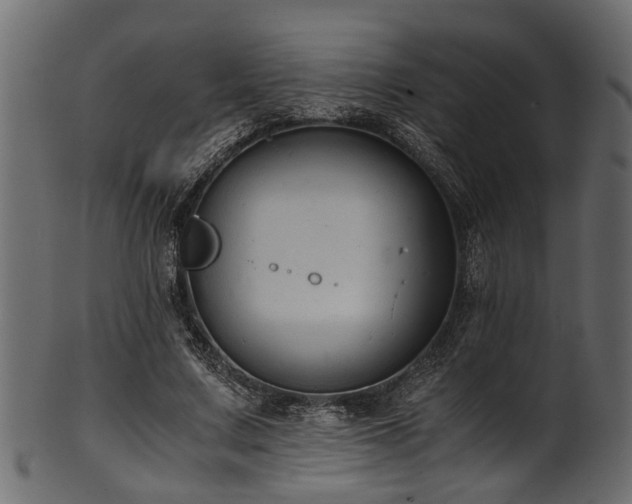 X0000102030683200807181350