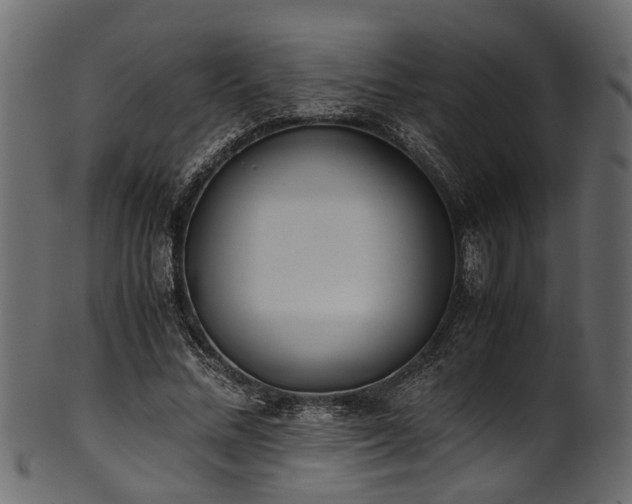 X0000102030684200807181350