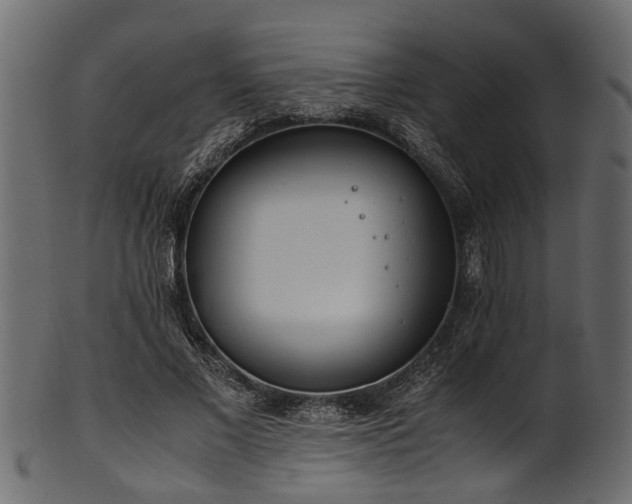 X0000102030685200807181350