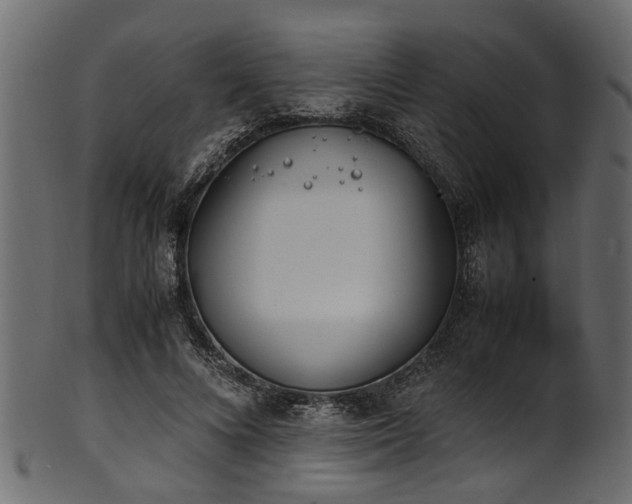 X0000102030688200807181350