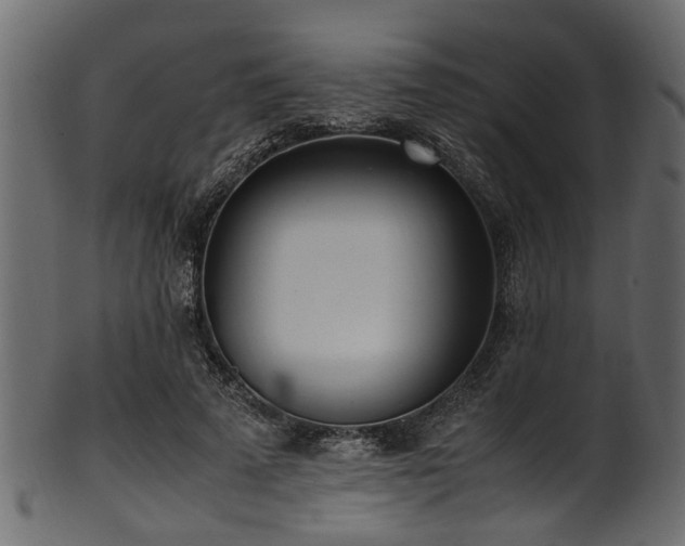 X0000102030689200807181350