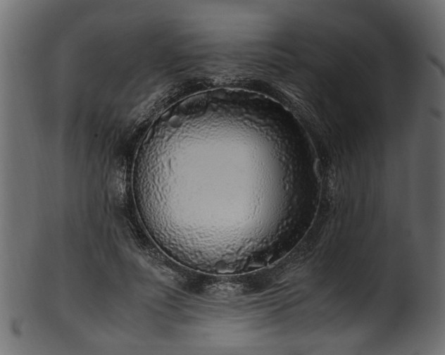 X0000102030691200807181350