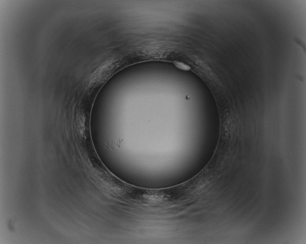 X0000102030693200807181350