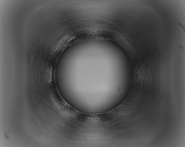 X0000102030694200807181350