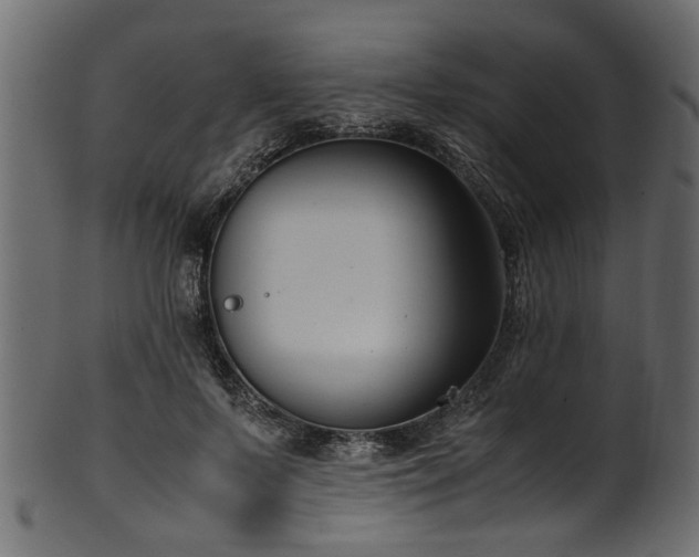 X0000102030695200807181350