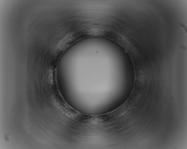 X0000102030696200807181350