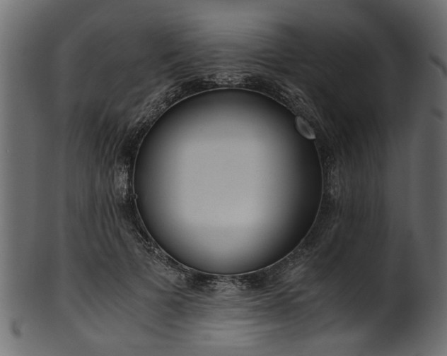 X0000102030697200807181350