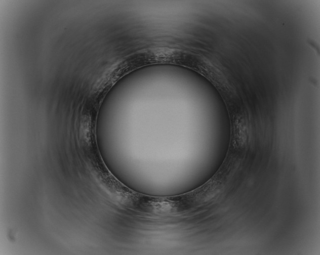 X0000102030698200807181350