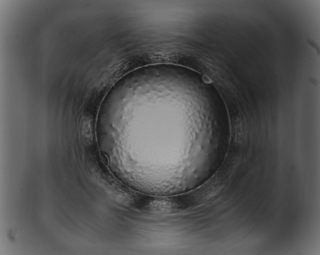 X0000102030699200807181350