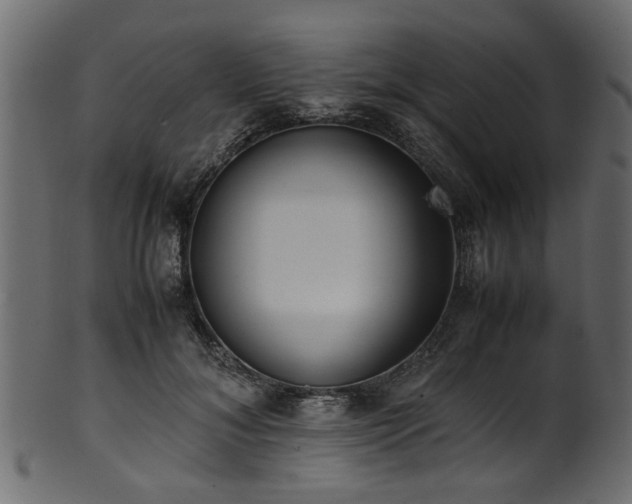 X0000102030700200807181350