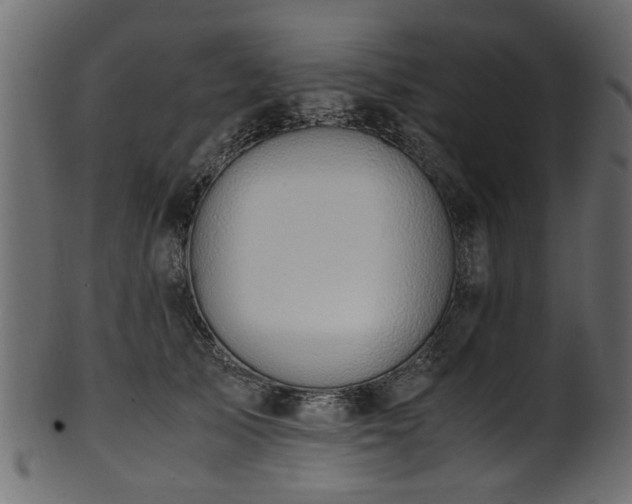 X0000102030705200807181350