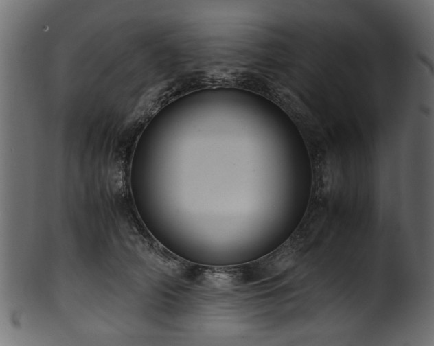 X0000102030706200807181350