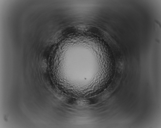 X0000102030707200807181350