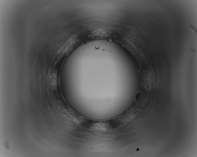 X0000102030708200807181350