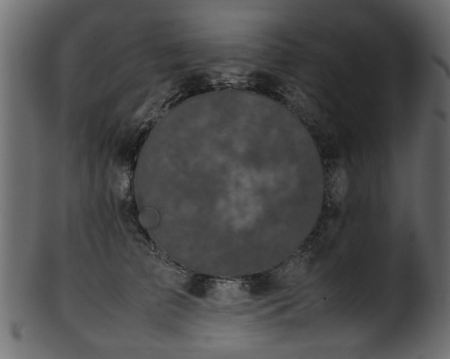 X0000102030709200807181350