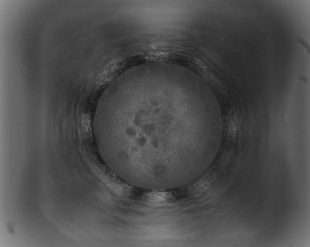 X0000102030711200807181350