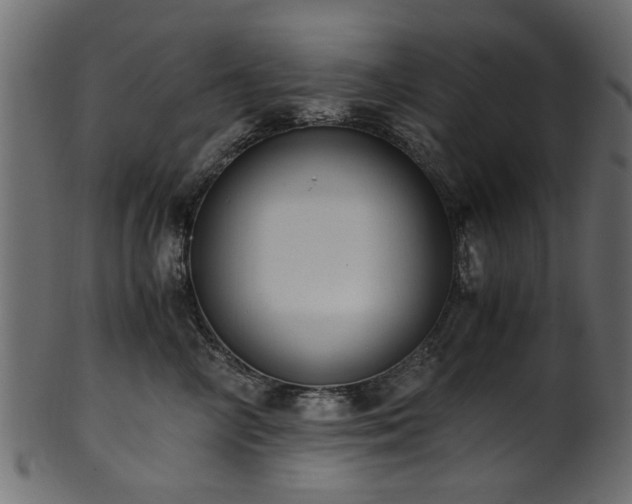 X0000102030714200807181350