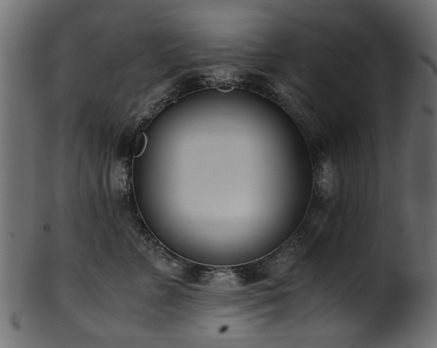 X0000102030715200807181350