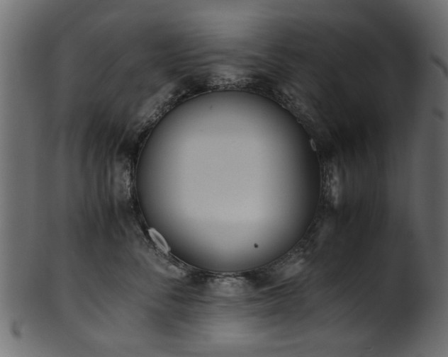 X0000102030716200807181350