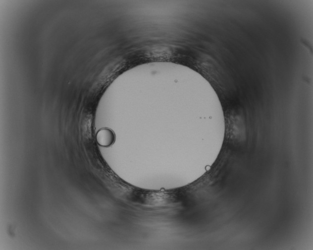 X0000102030717200807181350