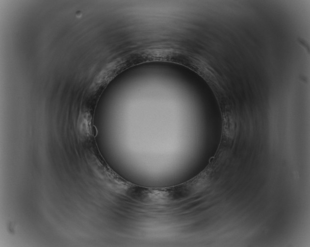 X0000102030718200807181350