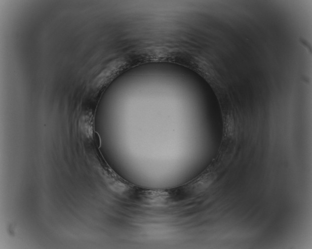 X0000102030719200807181350