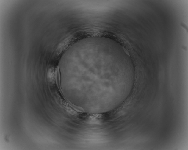 X0000102030720200807181350