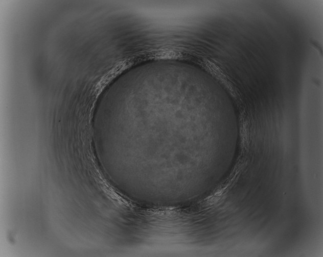 X0000102030721200807181349