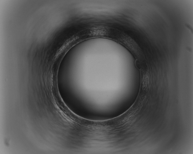 X0000102030722200807181349