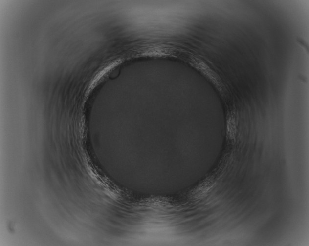 X0000102030724200807181349