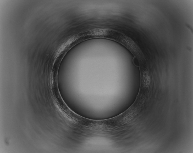 X0000102030726200807181349