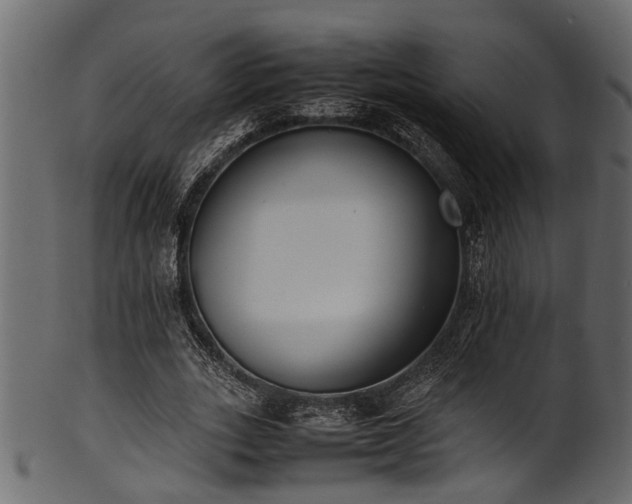 X0000102030727200807181349