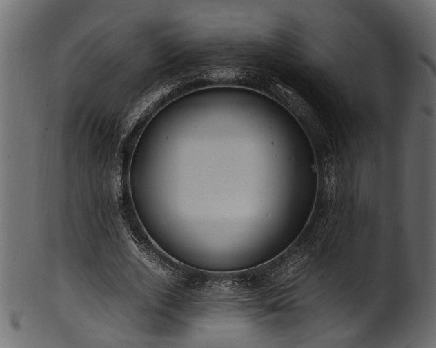 X0000102030728200807181349