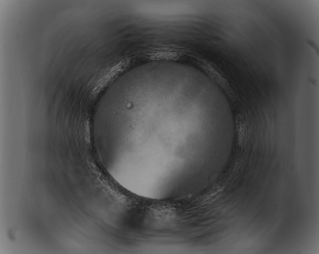 X0000102030729200807181349