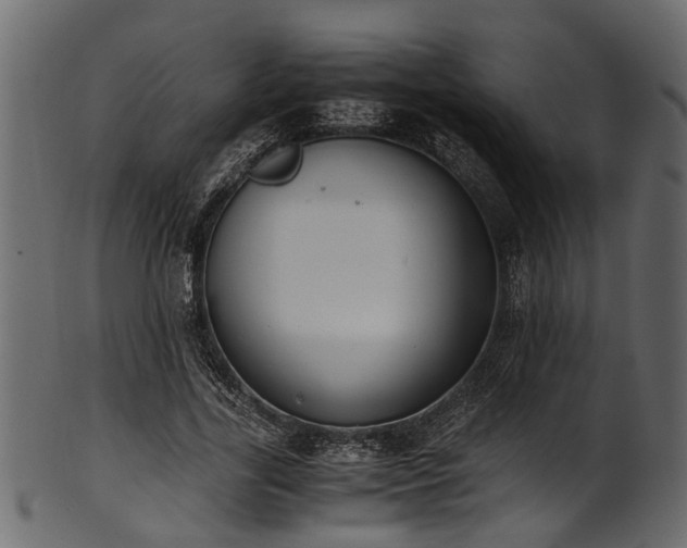 X0000102030731200807181349