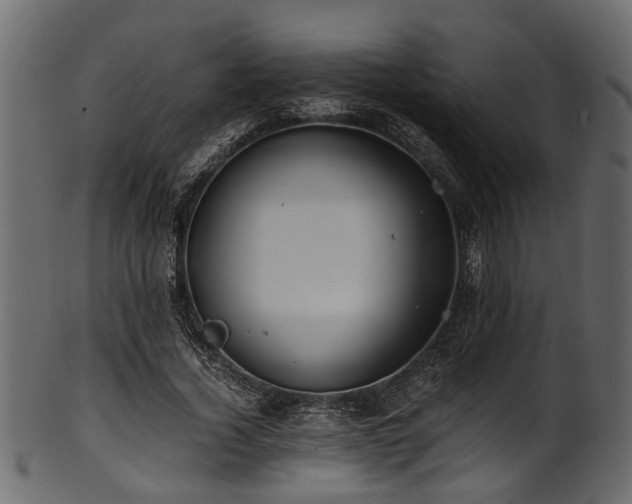 X0000102030732200807181349