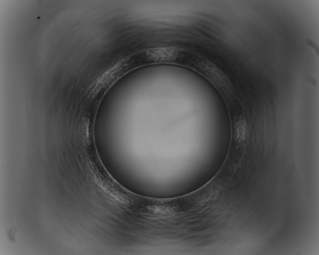 X0000102030733200807181349