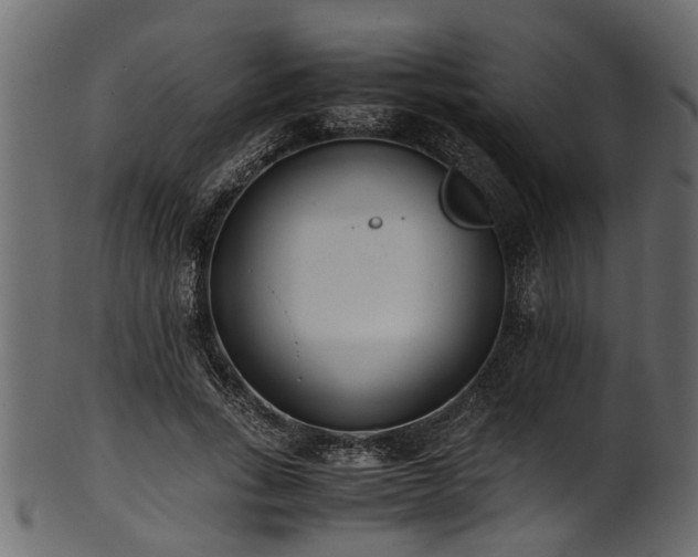 X0000102030735200807181349