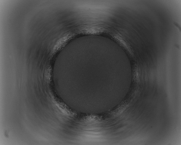 X0000102030736200807181349