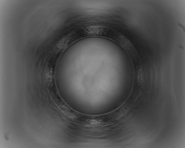 X0000102030737200807181349